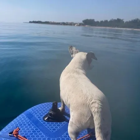 Dolce Vita-calme-vue * Chiatra