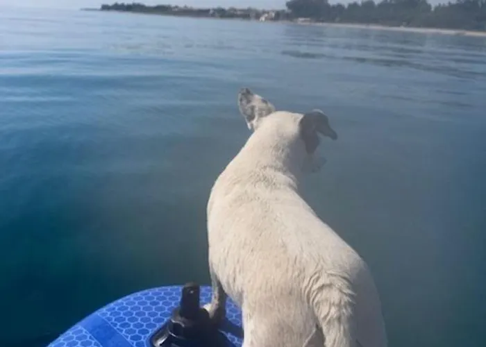 Dolce Vita-calme-vue * Chiatra